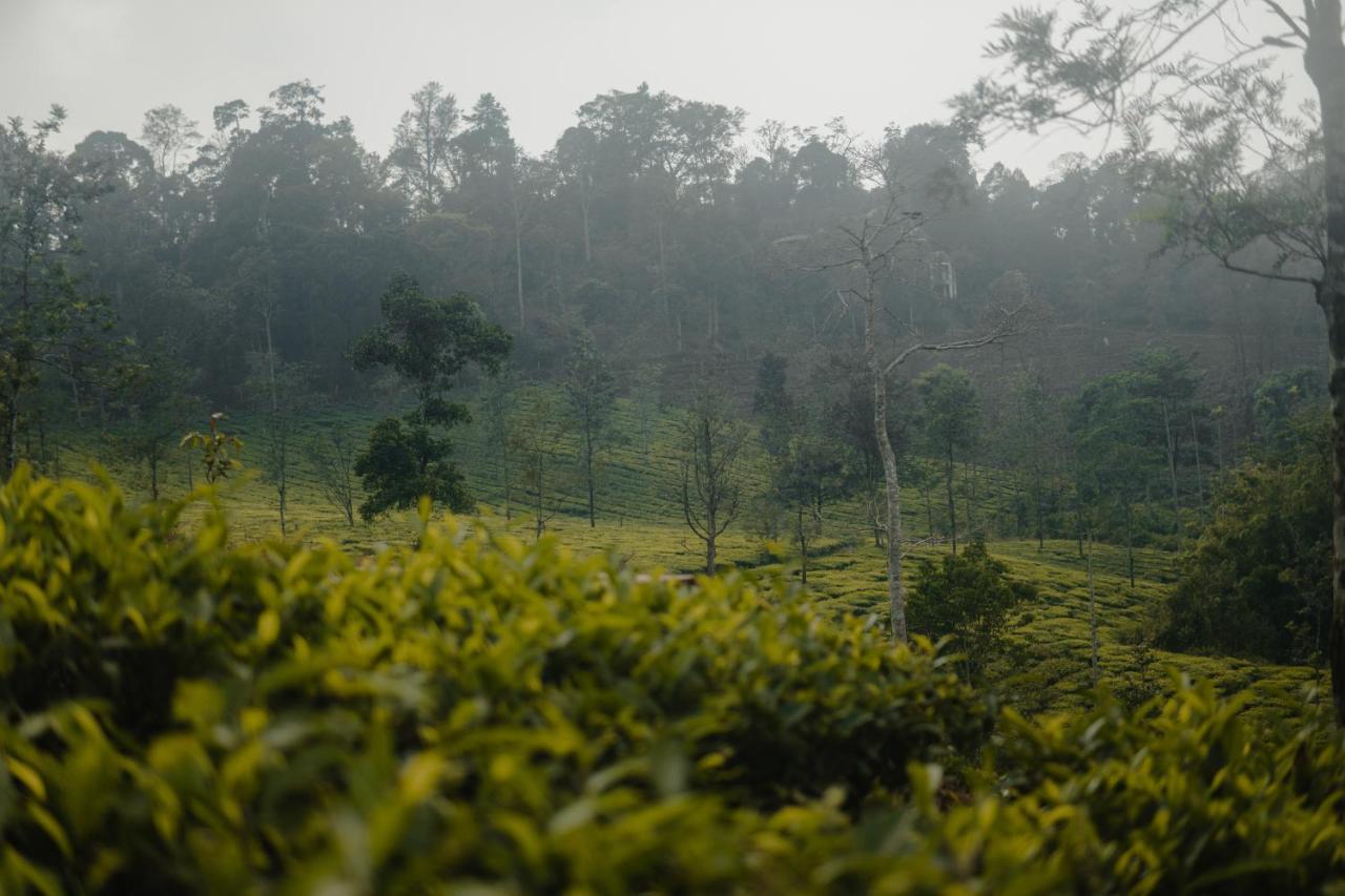 Abad Brookside Wayanad Hotell Vythiri Exteriör bild