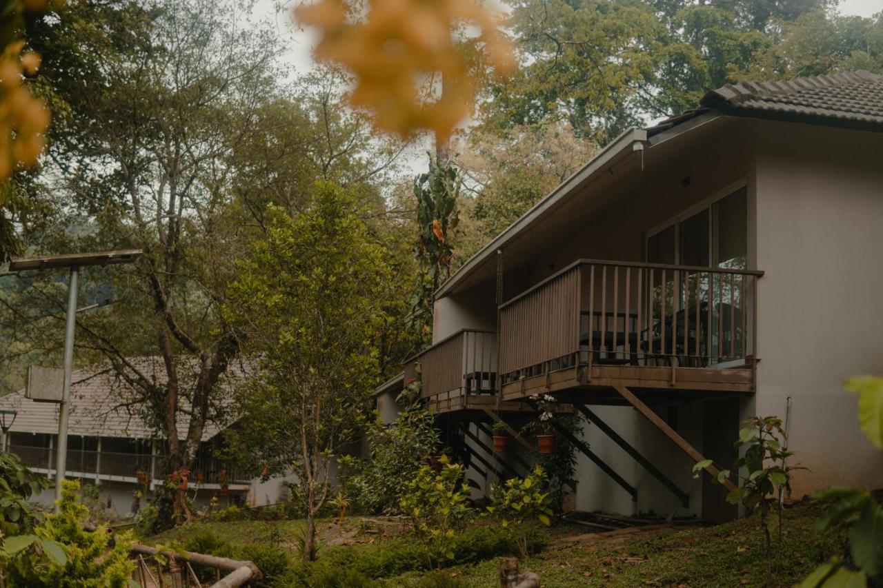 Abad Brookside Wayanad Hotell Vythiri Exteriör bild