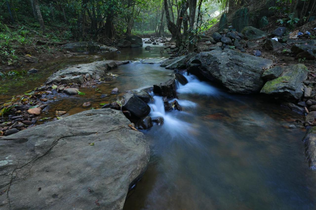 Abad Brookside Wayanad Hotell Vythiri Exteriör bild